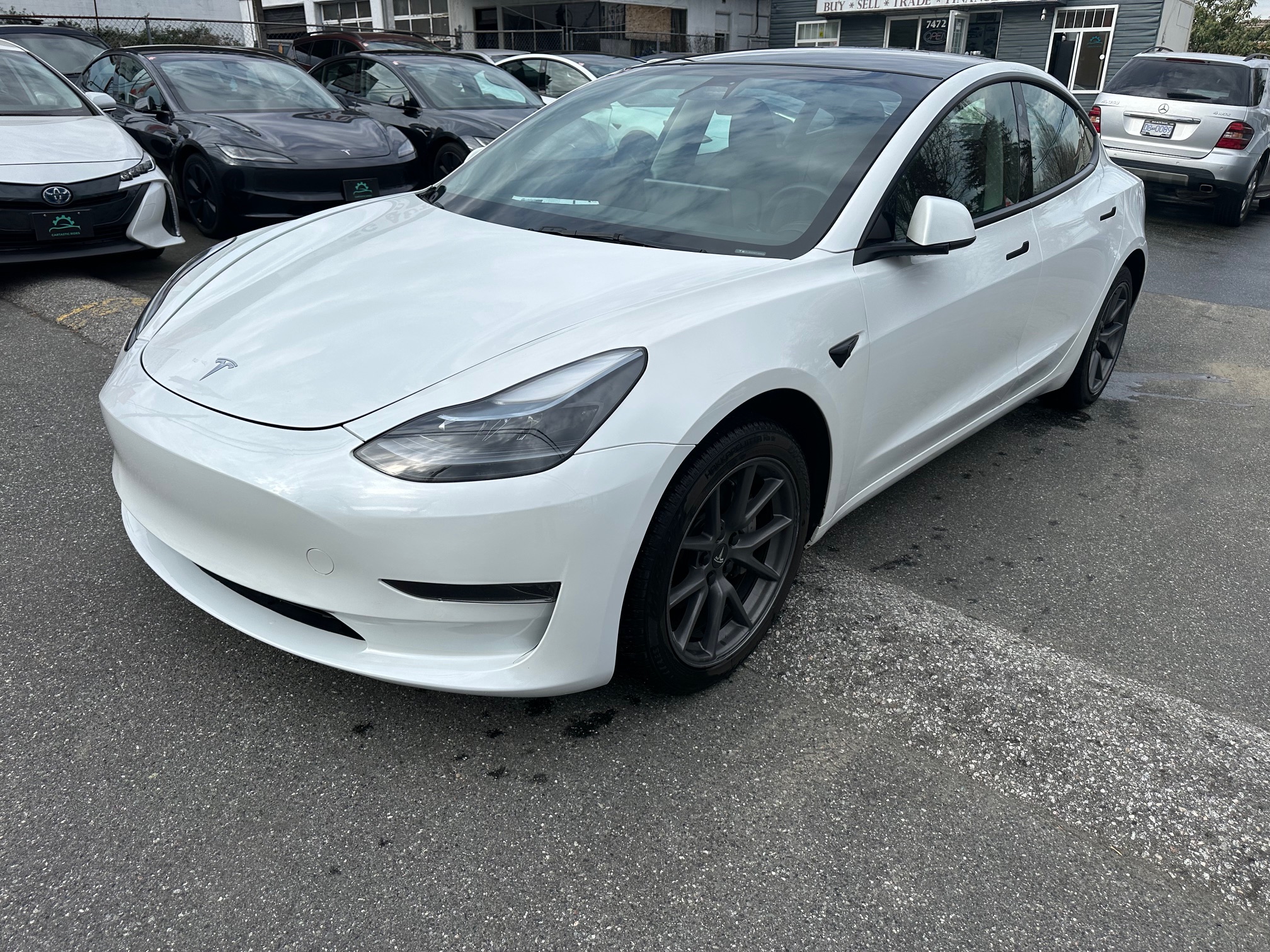 2023 Tesla 3 standard range